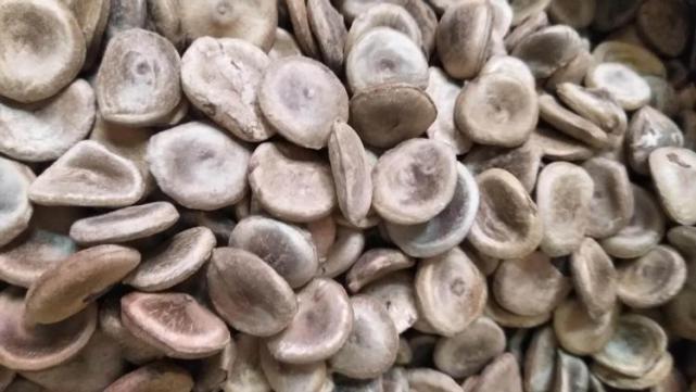 再生障碍性贫血|首都名医张炳厚,人称“杏林怪杰”,善用怪药治怪病,还屡见奇效