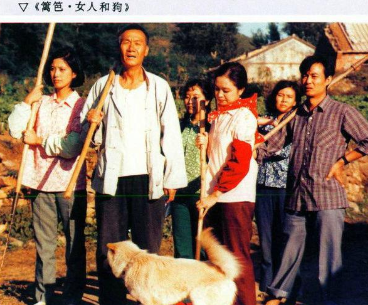 写真|刘莉莉:30多岁相亲嫁圈外人,为家庭放弃事业