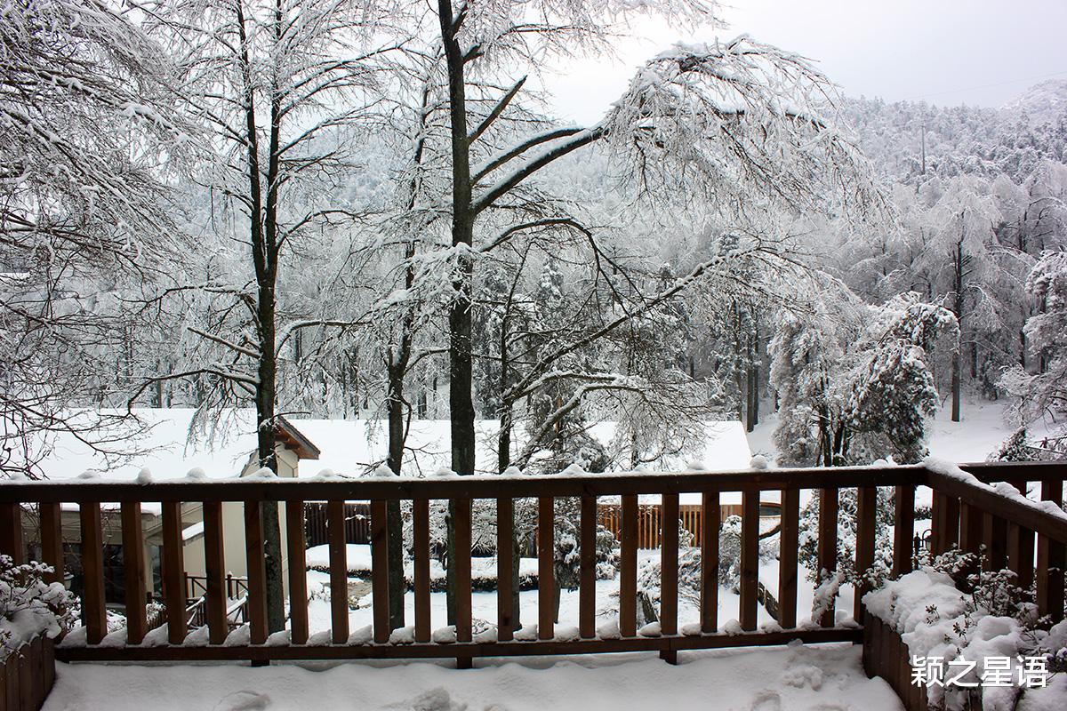宁波|八处赏雪胜地，林海雪原，分外妖娆