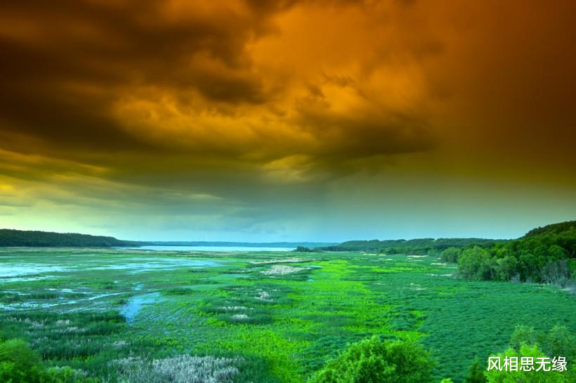 |有智慧,有眼界的星座,活得清醒,懂得把握和把握机会