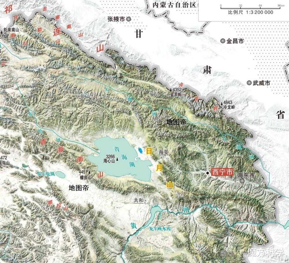 青海首次发现“国宝级”极危玉龙蕨!有多独特?网友:山上经常见