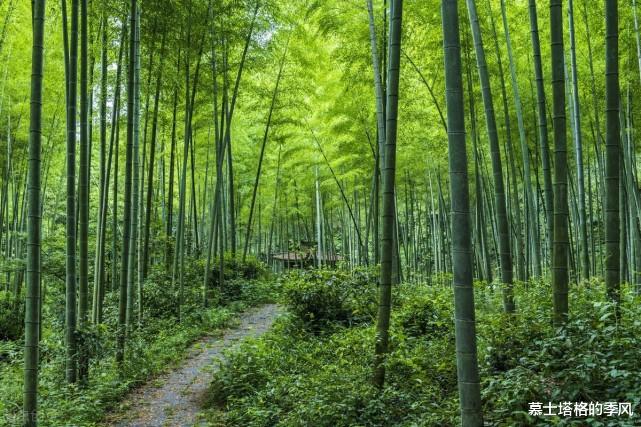 丽江|中国版的天鹅堡:距赤水40公里,海拔1400米,避暑胜地,欧陆风情