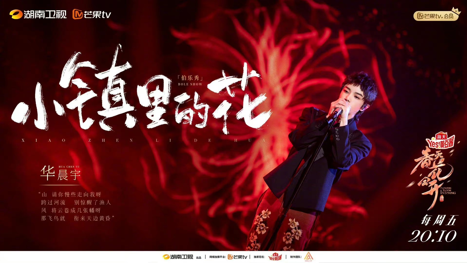 华晨宇|众人评华晨宇民乐版《小镇里的花》，“如听仙乐耳暂明”