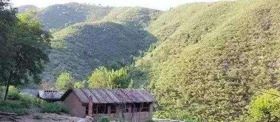 北大学霸94年携妻子隐居深山27年,花光350万后为何重回城市?