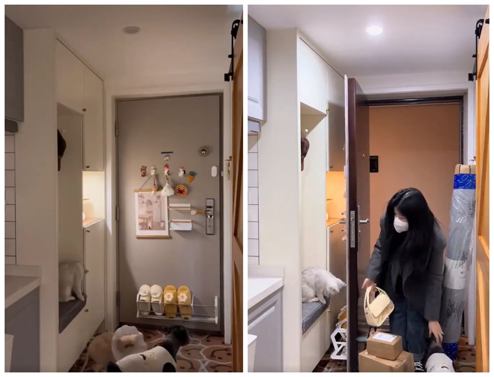 90后姑娘买下26㎡LOFT，带三猫一狗入住其中，一个人住也太爽了