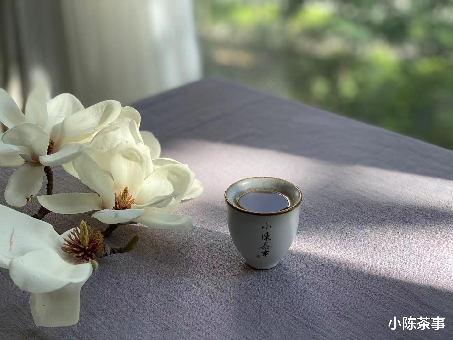 白茶|新手买春白茶,白毫银针和白牡丹该选哪个?或者有更好的选择?