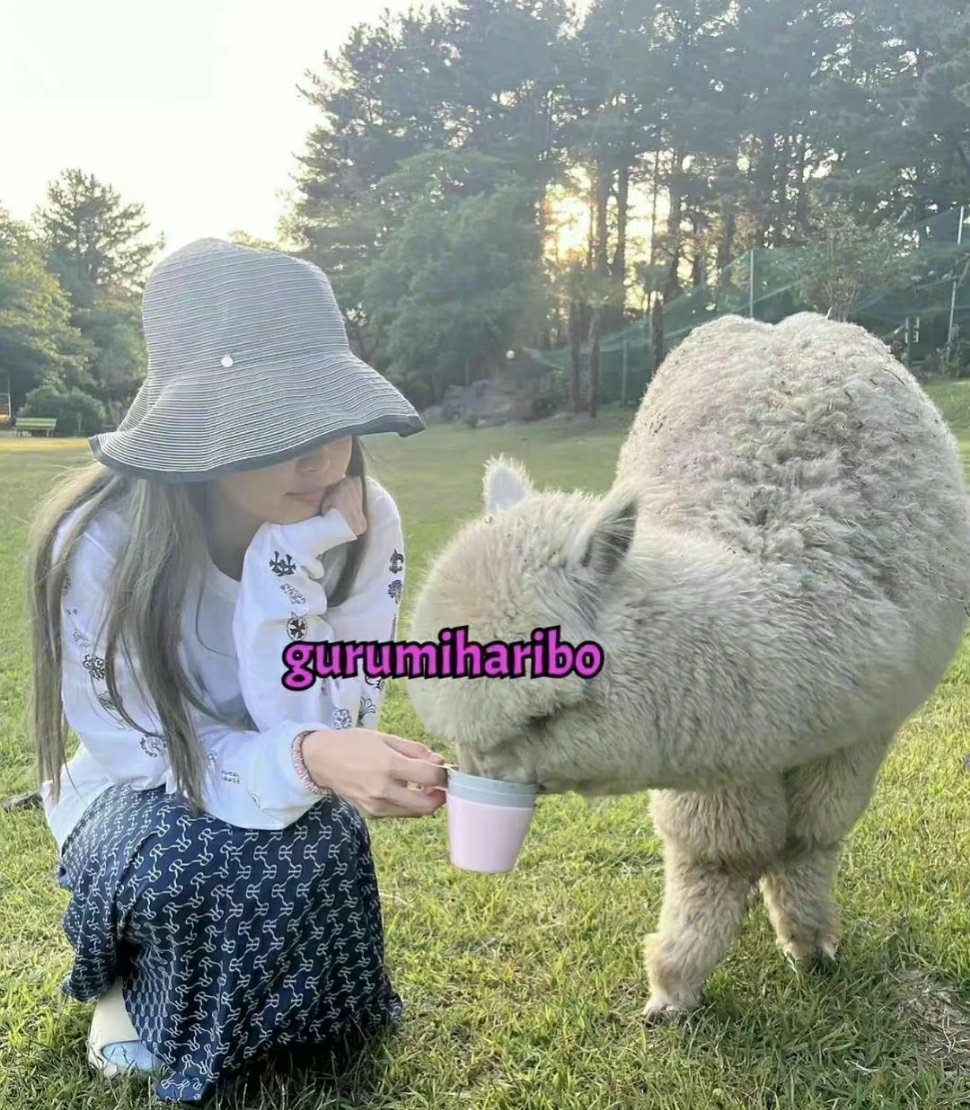 金智妮|Jennie与金泰亨的亲吻额头照再被公开,网友们争论是不是P的?