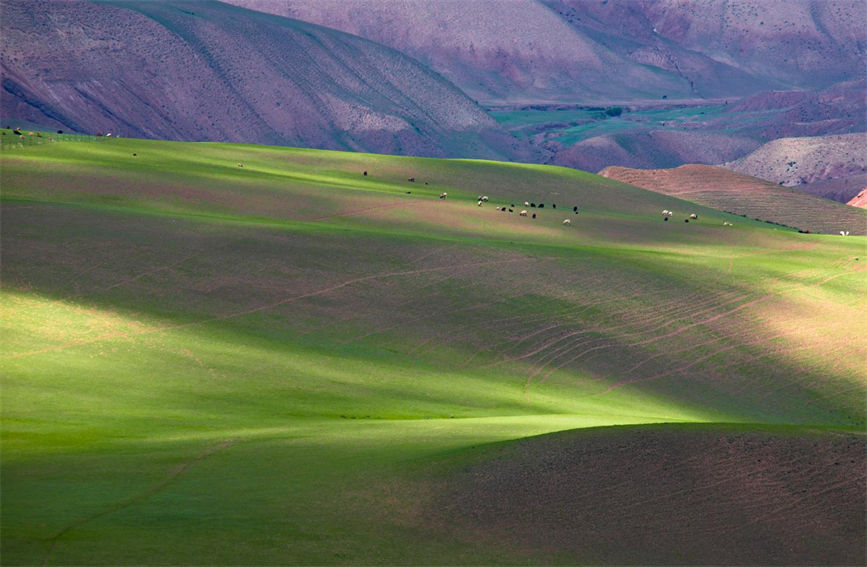 导游|新疆加乌尔山草原旖旎如诗如画