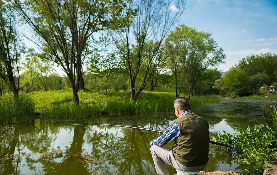 |钓鱼人从不空军的背后！过后寸草不生，钓友人不被待见的原因来了