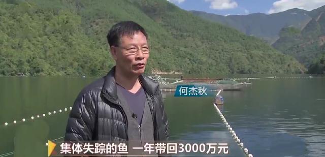 2008年,老板投放6000万尾鲢鳙,鱼群集体失踪,10年后年入3000万