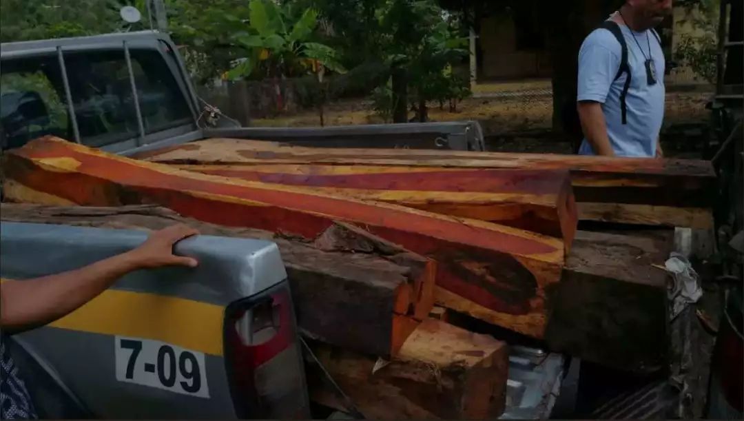 红木|红木市场最热门的8个品种,你知道几个?