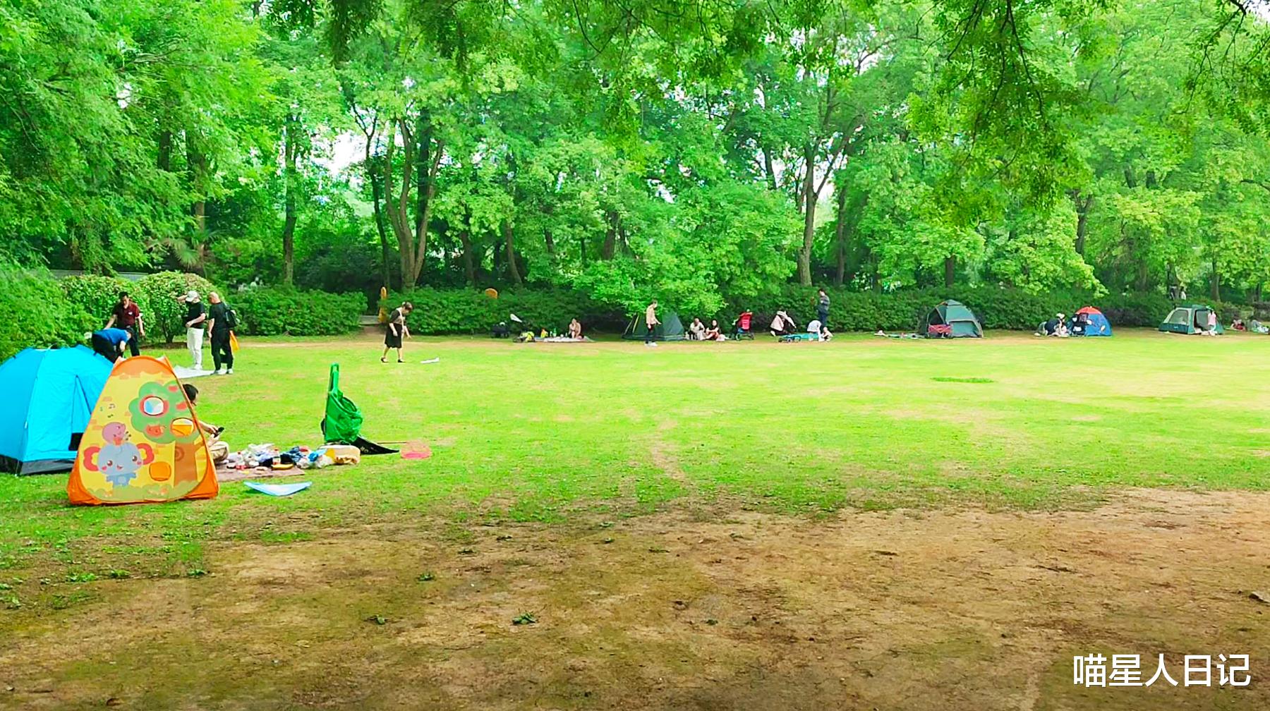 大观园|游逛武汉城区东湖磨山一角，随处可见小桥流水，还有宽阔的大草坪