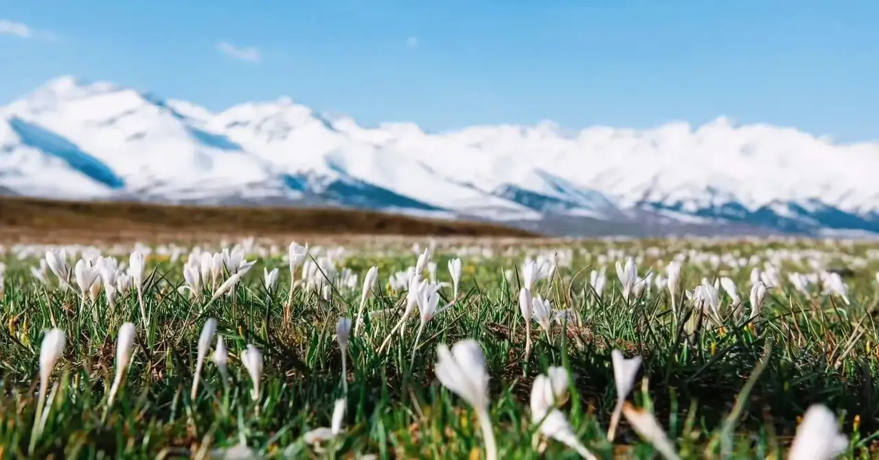 草原|一起享受大自然的美