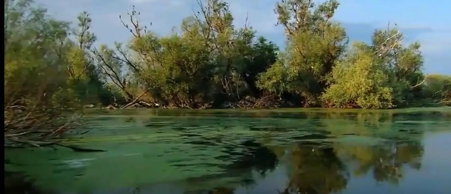 水城|多瑙河——欧洲第二长河，是世界上流经国家最多的河流