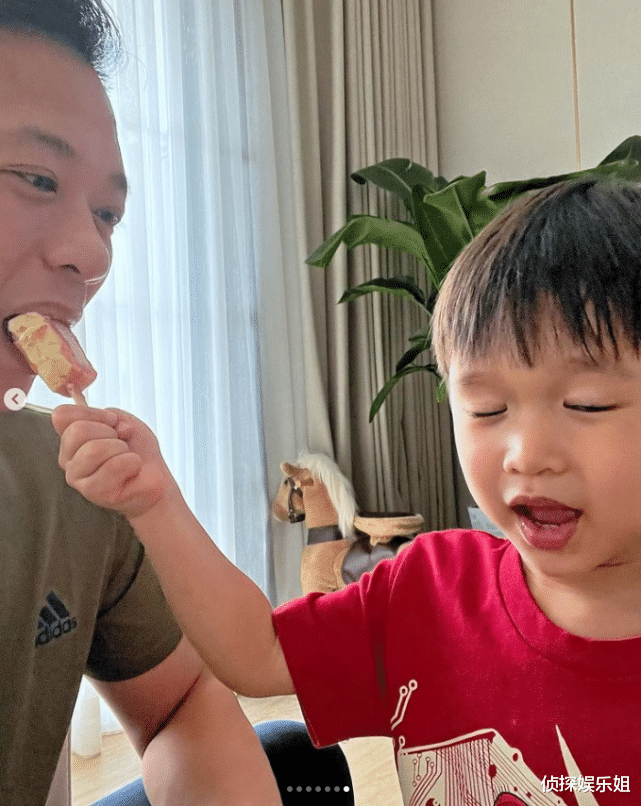 胡杏儿|胡杏儿庆祝二胎儿子满3岁,奕霖和哥哥捉蛇、玩蜘蛛,超勇敢