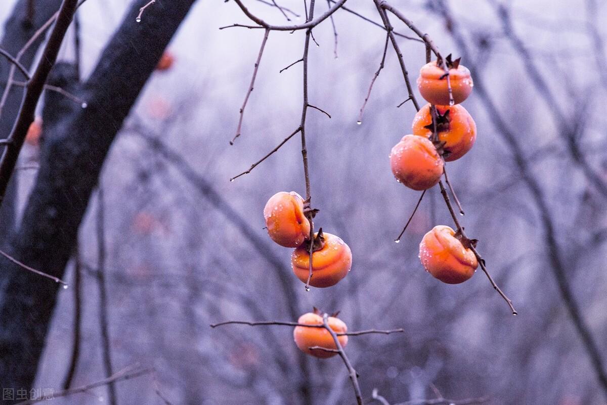 最中国的中国水果,甜了中国人一万年!