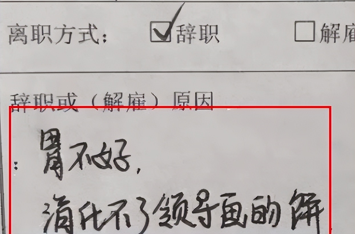 00后|00后辞职信引争议，是整顿职场还是有些嚣张？网友：让我先笑一会