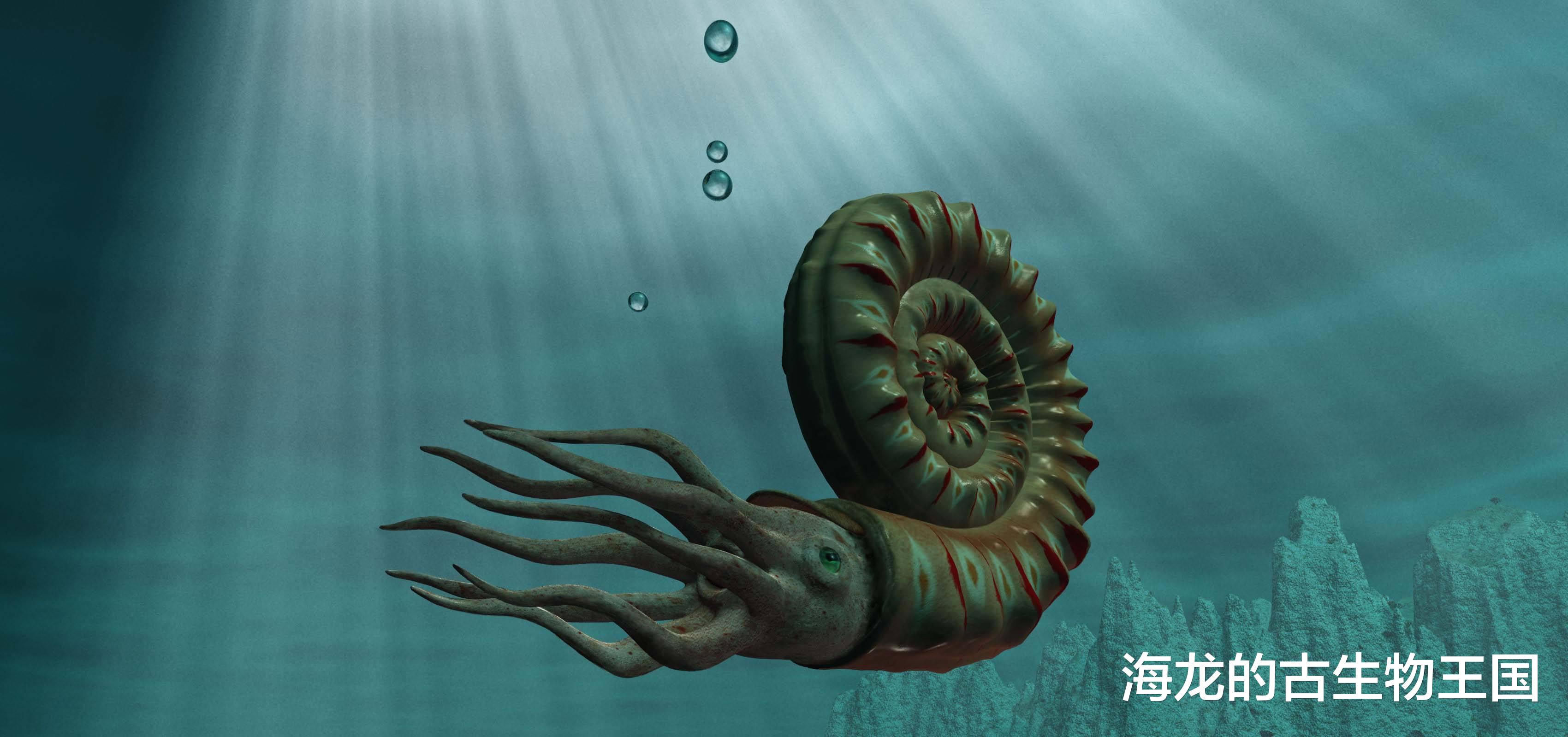 来自远古菊石的求爱仪式