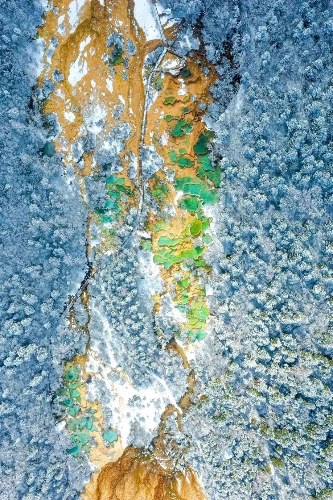 海昌海洋公园|“冬游阿坝”模式已开启，快来解锁！