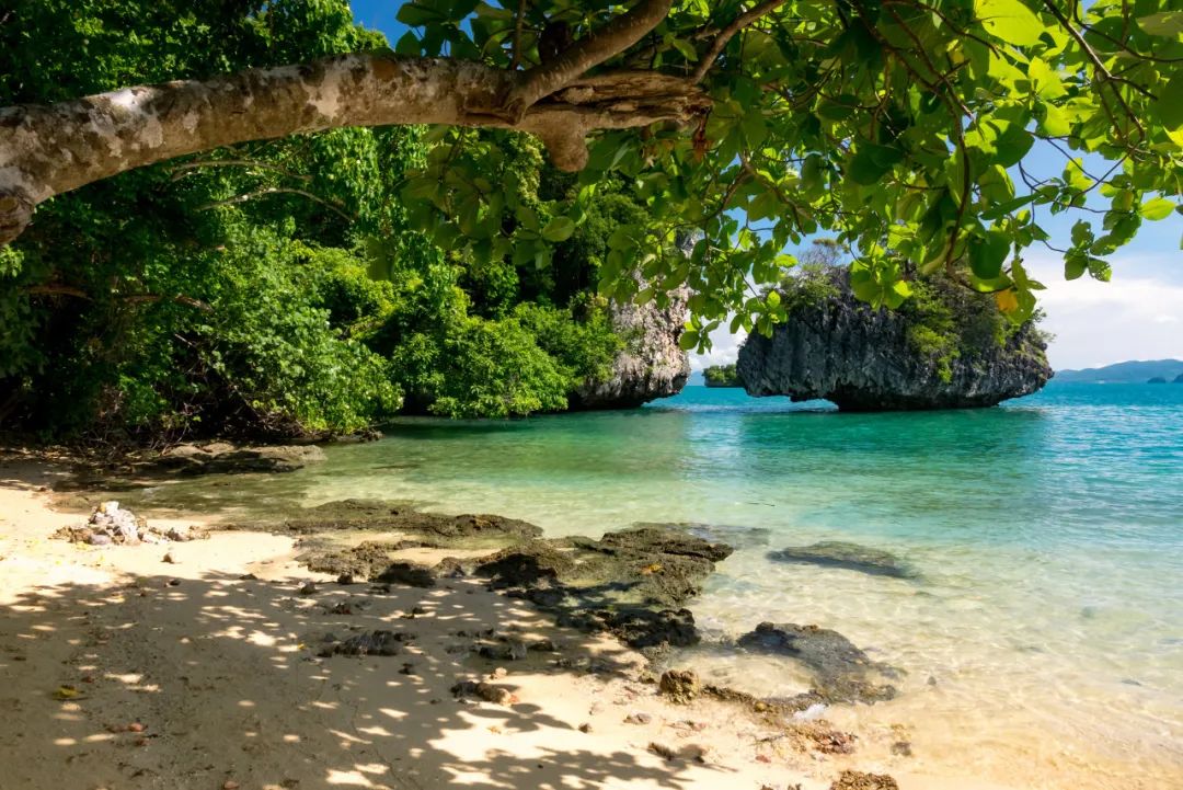 曼谷|以后,再也见不到“曼谷”了!