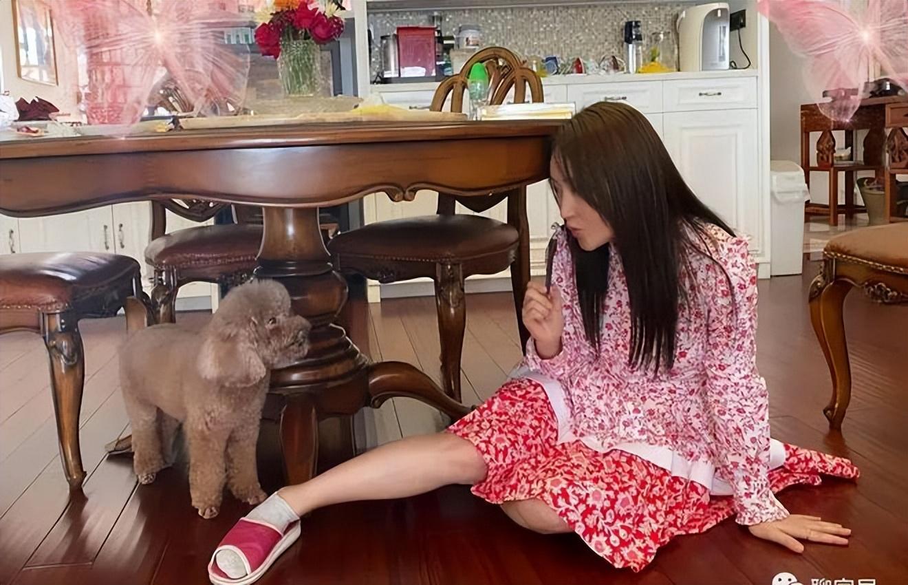 杨钰莹|杨钰莹现身乡镇商演,穿“蝴蝶裙”卖力表演,微胖身材很迷人