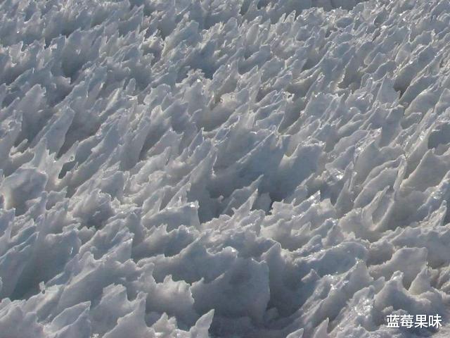 地外生命不在“一个宇宙”层面?或许也不靠呼吸生存