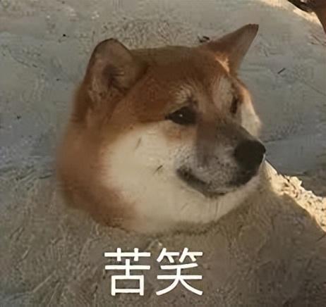 苹果|花了一万多买的iPhone，凭什么不让看AV1