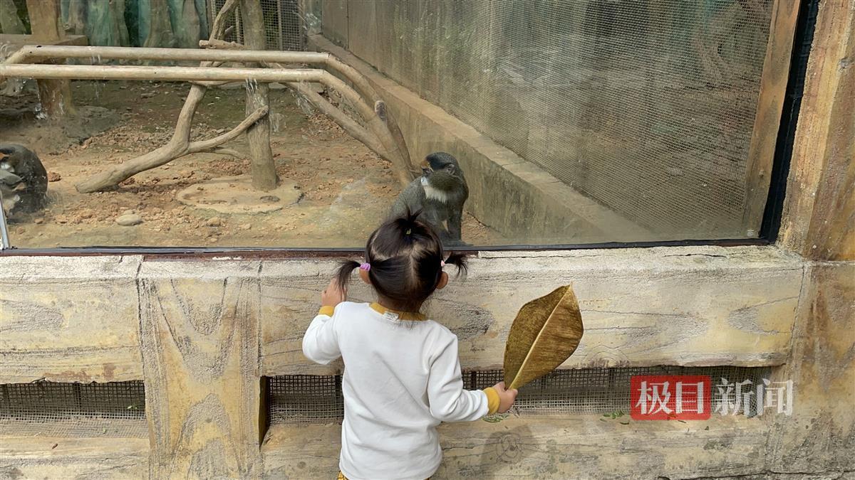 “南宁动物园没有正经动物”,冲上热搜,专家揭秘幕后原因