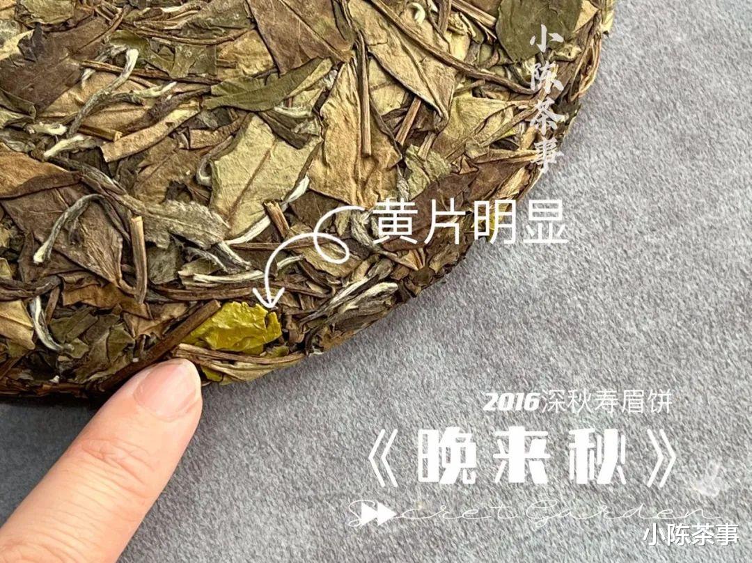 鉴定白茶饼好坏的9大干货，实用不踩雷，买对好茶的概率提升很多