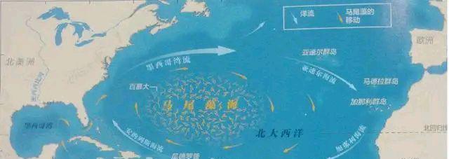透明度达72米,却吞噬无数船只,马尾藻海为何被称为死亡之海?