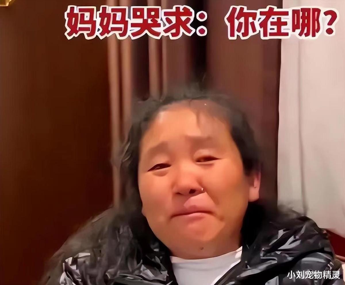 胡鑫宇事件,当地相关部门终于做出回应!但其说法却让人无法接受
