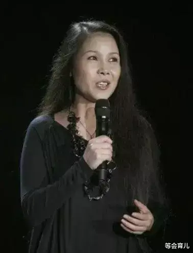 田震|20年后,再看那英、田震各自的境遇,差距一目了然