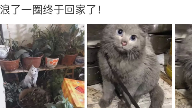 长腿 “这是我和弟弟的房间，难道这就是穷养儿富养女”哈哈哈连装修都懒的装！！