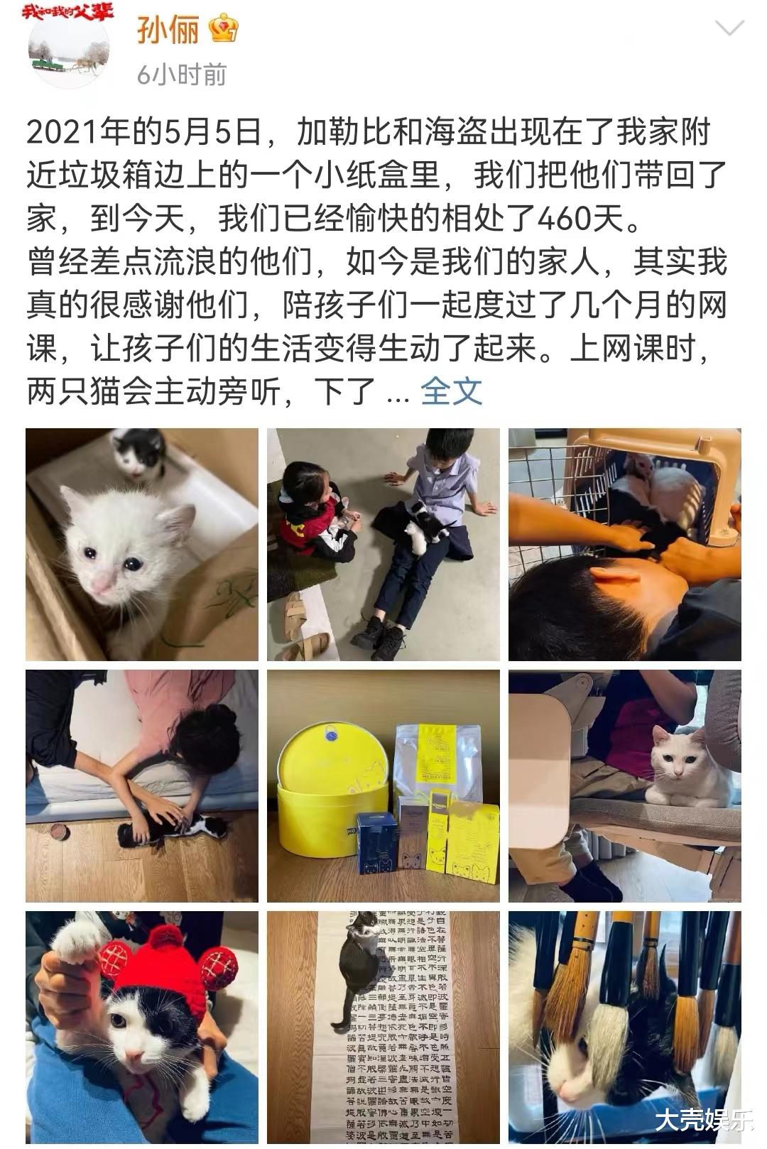 孙俪|孙俪晒孩子和猫咪相处日常,猫咪是去年捡的,网友夸她人美心善