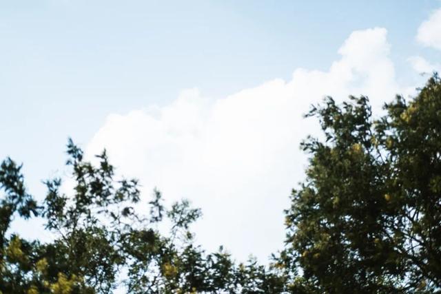 成都|40min直达!成都这个“千年水乡”,吃玩俱佳、风景如画!