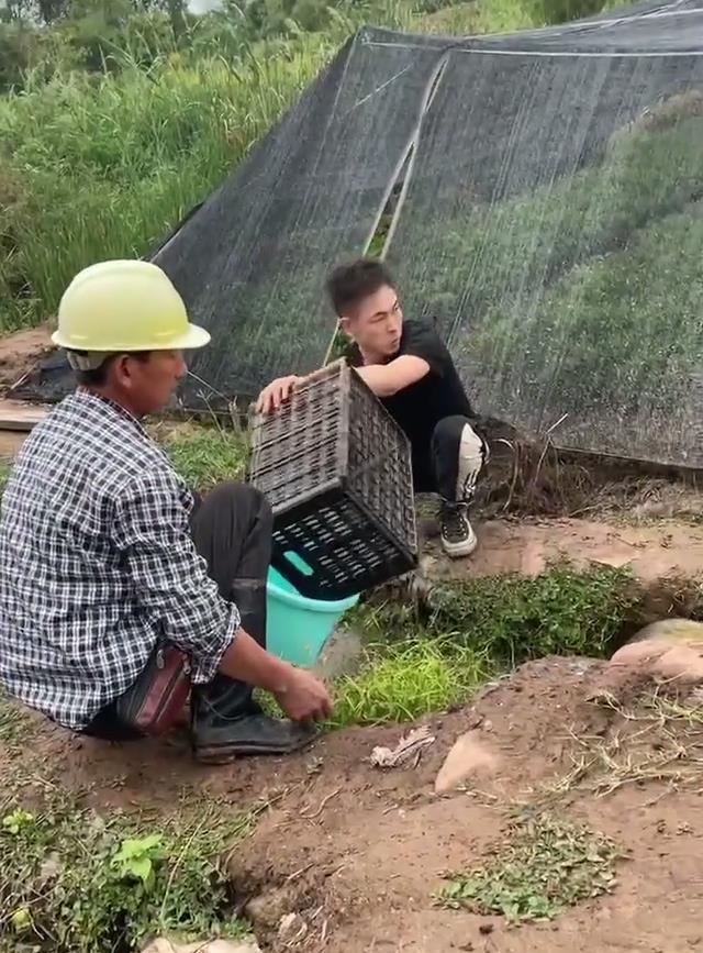 鱼多到不想捡?浙江女子路过乡间水沟,发现大量野生鱼被困浅水