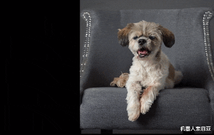 设计师|设计师失业倒计时？AI画师打破语言与视觉的次元壁