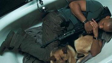 夜魔|解读《我是传奇》双结局的不同视角与主题，讨论灾难片的现实意义