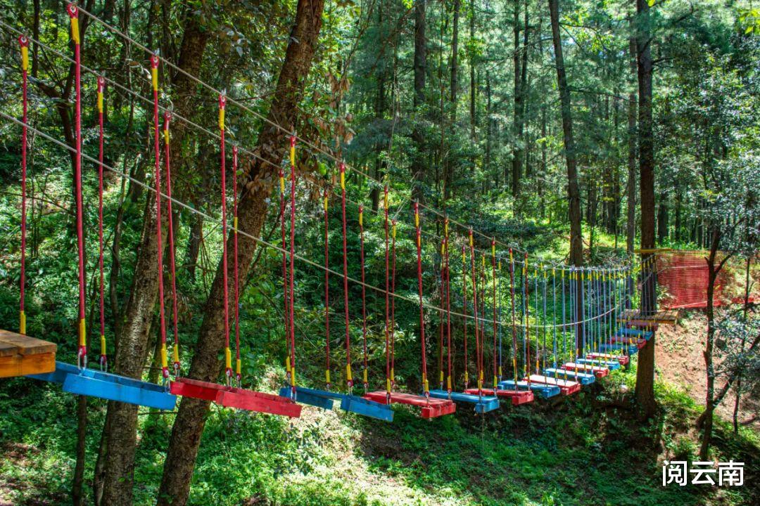 携程|昆明周边露营地盘点:森林草甸、高山牧场、热浪沙滩,不愁没去处