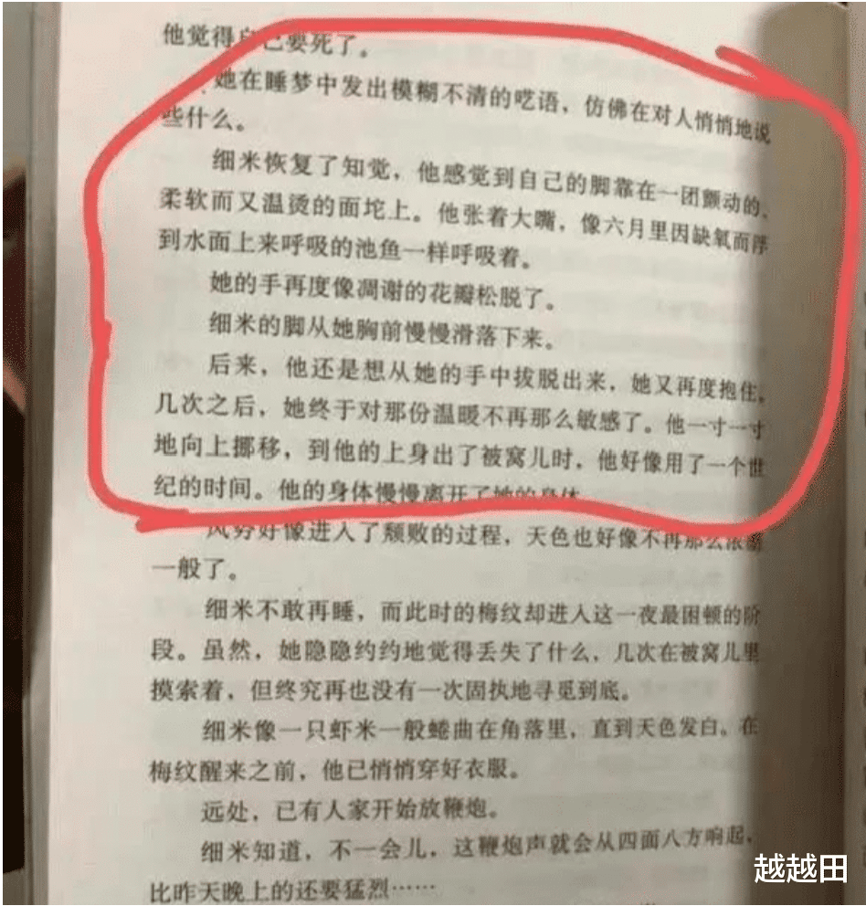 郑渊洁|童话大王郑渊洁点名的主编：曹文轩的简历、作为、成就、污点