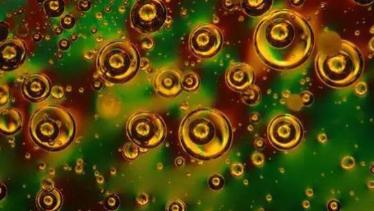 蓝宝石|珠宝玉石微观世界