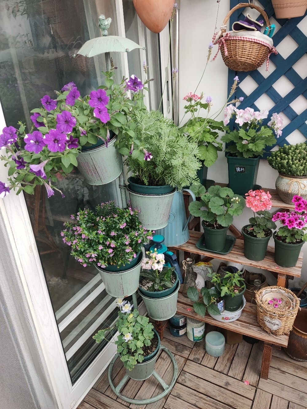 五年前买了顶楼,送了个10㎡小露台,自己折腾成空中花园,太美了