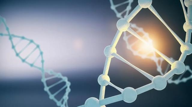 6种生命形态,碳基生命仅排第三,排名第一的硅基生命有多可怕?