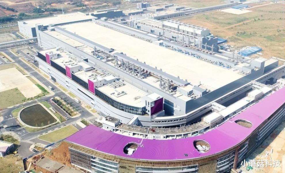 芯片|中企宣布突破，或将成NAND芯片领导者，外媒：美国受不了这刺激