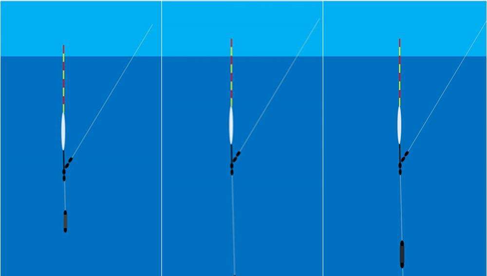 饵料|“调N钓N”的钓法真的适合野钓吗？