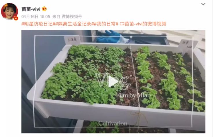 鸡蛋|上海隔离区，娱乐圈顶流明星私生活曝光，太魔幻了……