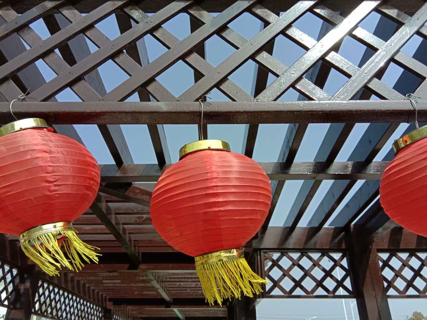 |我和富婆结婚以后的日子