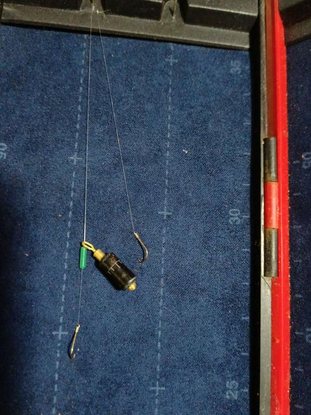 鲫鱼|偶遇好鱼情,夜钓小连杆