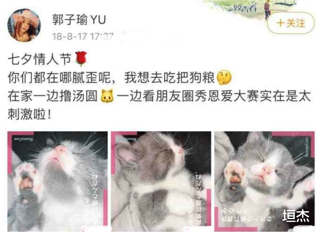 湾湾|网红湾湾否认，李某峰21岁绯闻女友，却现身警局申请恢复聊天记录