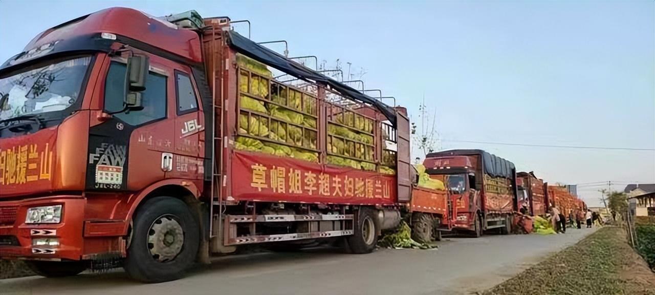 草帽姐|名利双收的“大衣哥”；昙花一现的“草帽姐”。